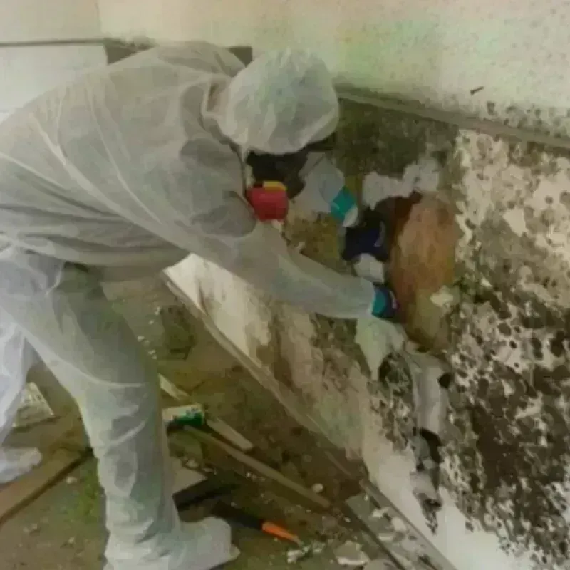 Mold Remediation and Removal in Villas, NJ