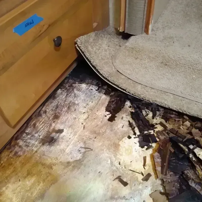 Wood Floor Water Damage in Villas, NJ